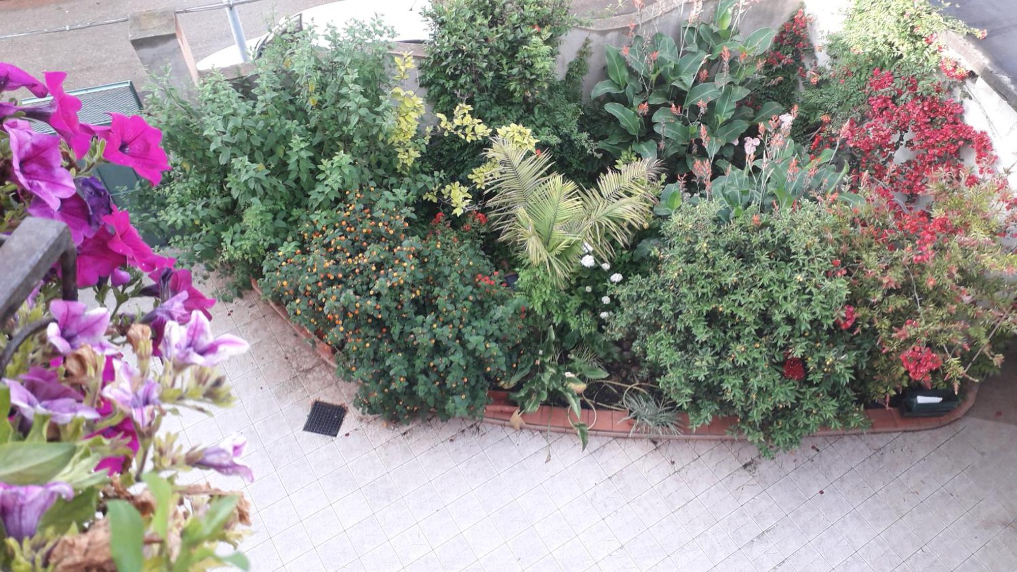 Bed And Breakfast Le Petunie บารีซาร์โด ภายนอก รูปภาพ
